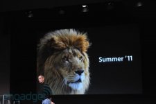 lion_summer_11