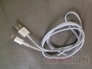 apple_usb_mini_dock_cable