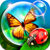 bugs-and-bubbles-logo