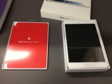 iPad mini  (2)