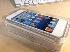 ipod touch 5  (5)